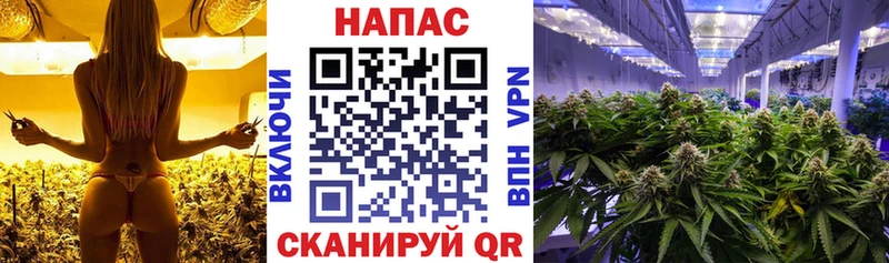 Конопля Amnesia  blacksprut сайт  Среднеколымск 